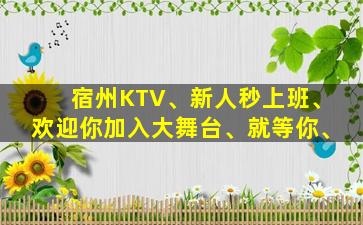 宿州KTV、新人秒上班、欢迎你加入大舞台、就等你、